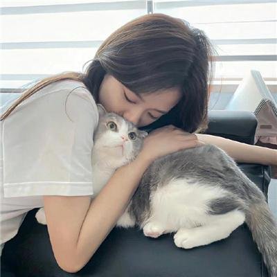 犬爱奇缘